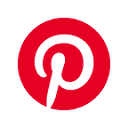 PINS logo